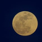 揭秘全年龄版秘密教学:让学习变得轻松有趣 17pzve0ew