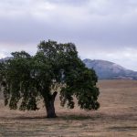 揭秘不见星空槿晓婷的真实姓名与背后故事 5xgvv1raq