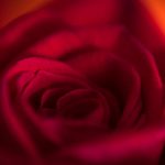 揭秘原神内鬼吧的各种成分与背后故事 k15pgbqj